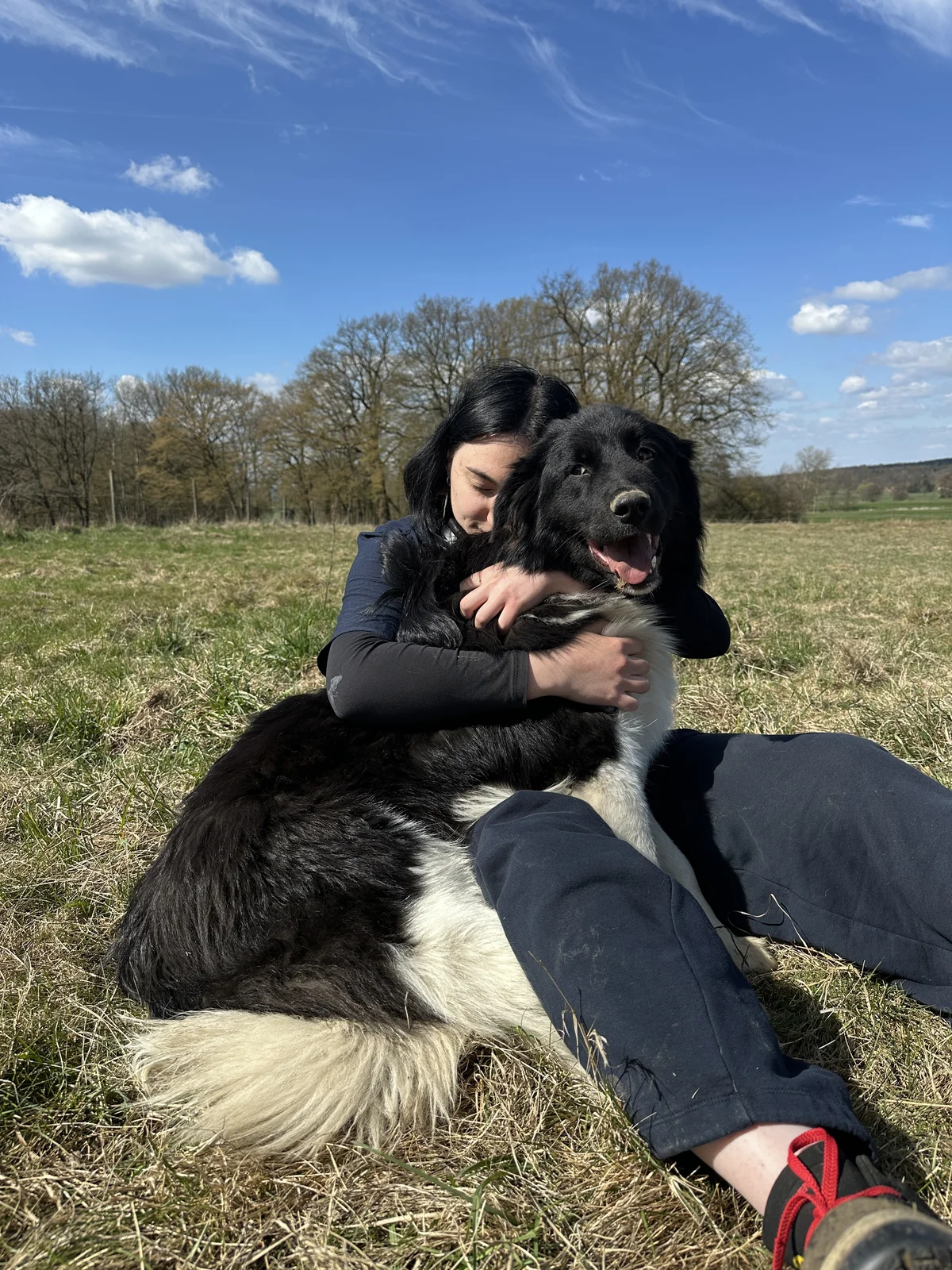 Karakachan Rah & Sun auf dem Pferdehof